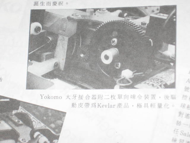 insect specimen 137.jpg